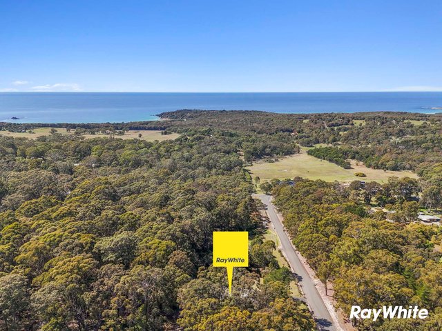 49 Spring Place, NSW 2537