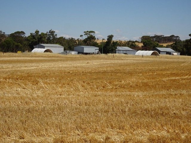 747 Yenellin Road, WA 6308