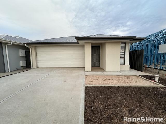 13 Goderich Street, SA 5115