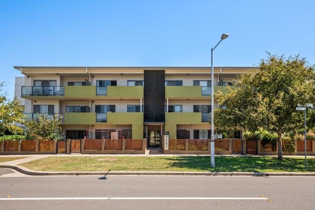 16/50 Hillcrest Street, ACT 2911