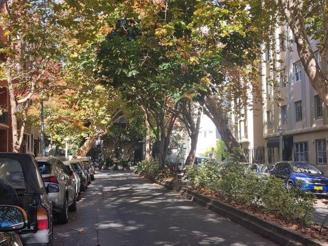 5/12 Tusculum Street, NSW 2011