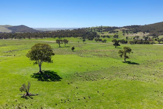 1663 Mountain Creek Road, NSW 2582