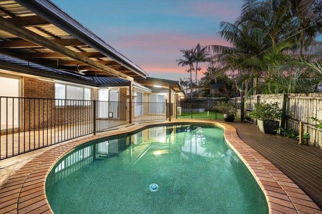 7 Attenborough Close, QLD 4556