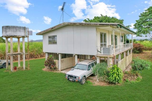 39 Cantamessas Road, QLD 4850