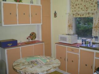 Kitchen (2010-05-03)