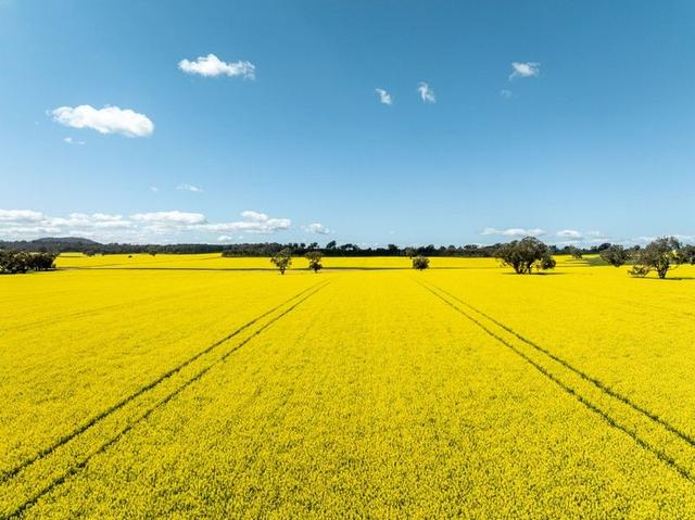 484 Merri Meric Road, NSW 2658