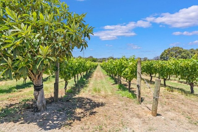 25 Hamersley Road, WA 6055