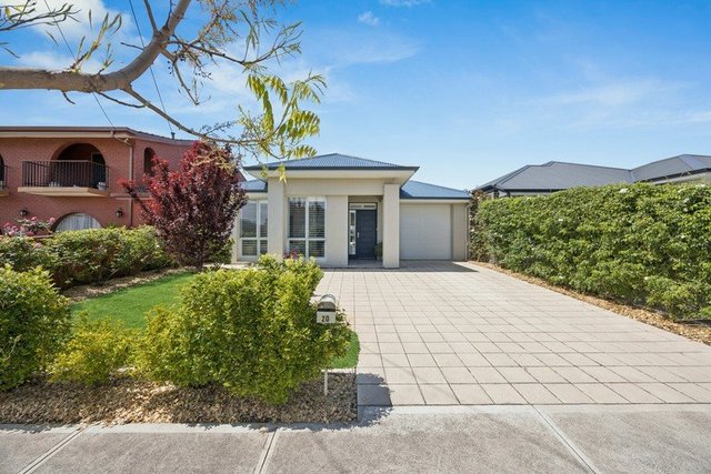 20 Neston Avenue, SA 5038