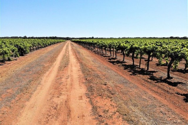 2756 Tapalin Mail Road, NSW 2737