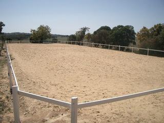 Arena (2006-10-11)
