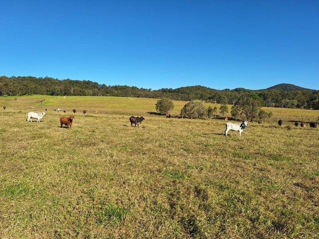 (no street name provided), QLD 4570