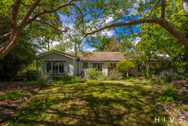 31 Hawker Street, ACT 2607