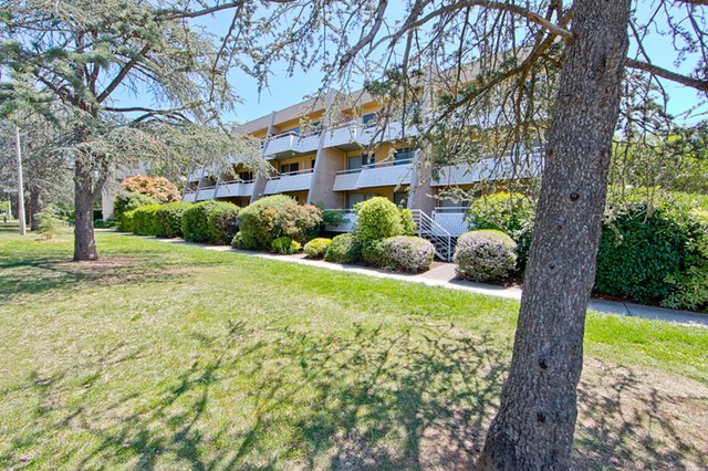 21/43 Giles Street, ACT 2604