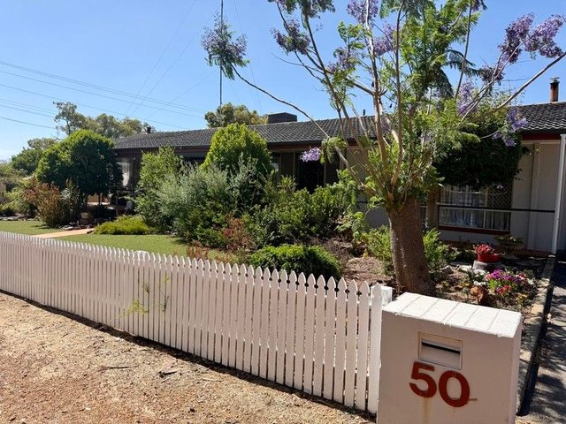 50 Millar Street, WA 6215