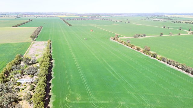 1063 Old Forbes Road, NSW 2594