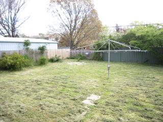 Standard Photo (2010-10-26)