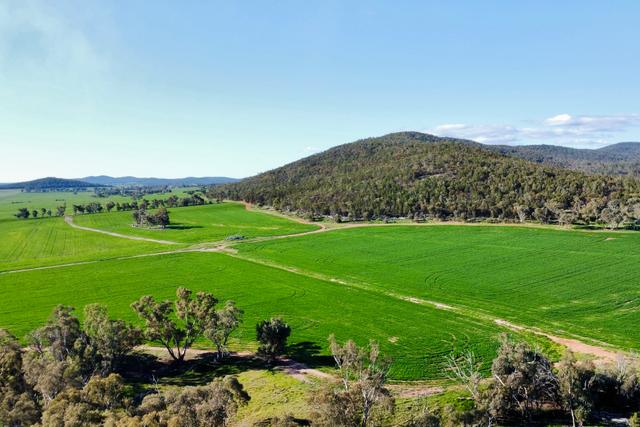 409 Trungley Hall Post Office Road, NSW 2666