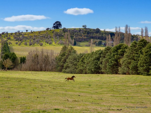 72 Little River Road, NSW 2622