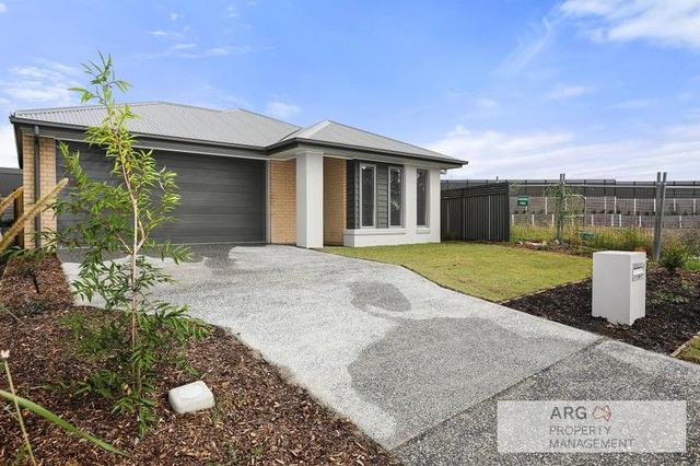 8 Love Street, QLD 4165