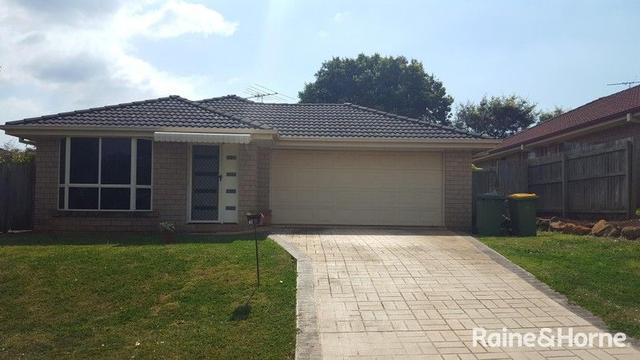 13 Lanyard Place, QLD 4165