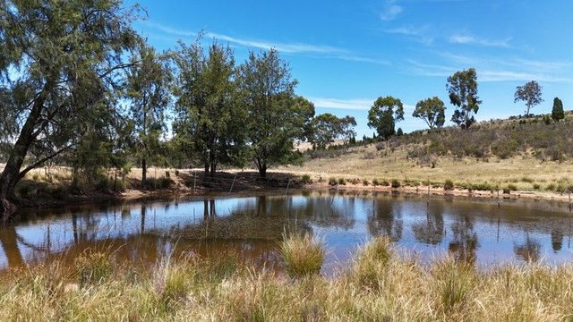 222 Battery Crossing Road, NSW 2586