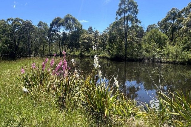 139 Buchan South Road, VIC 3885