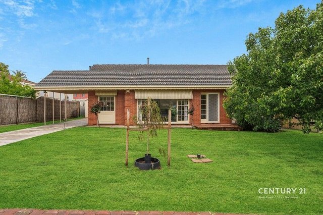 25 Knightsbridge Avenue, SA 5093