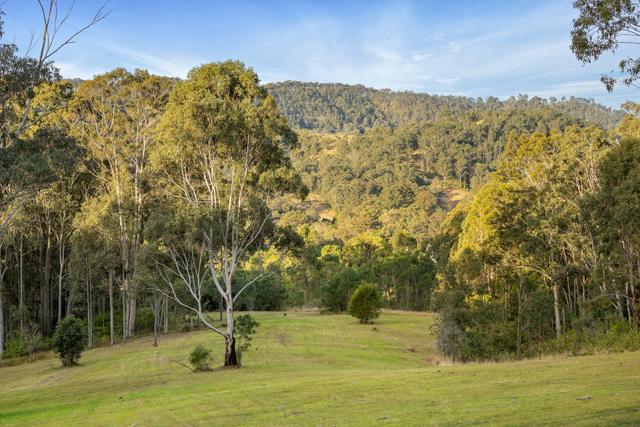 98 Parishs Road, NSW 2420