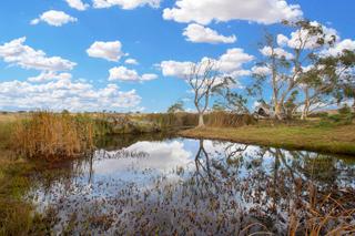 Waterhole