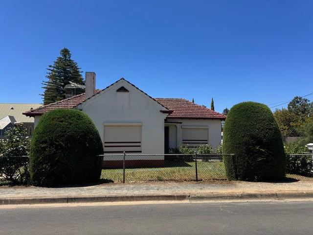 3 Theodor Street, SA 5352