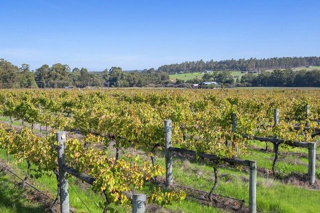 635 Bramley River Road, WA 6285