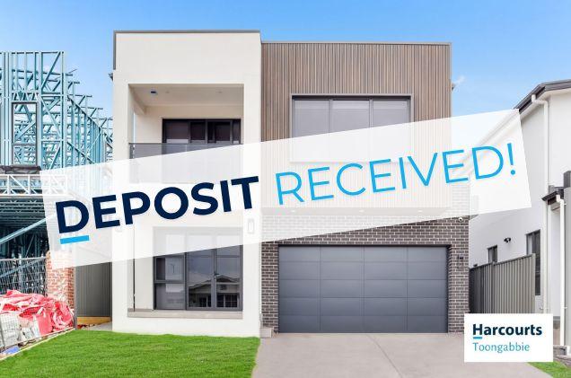 45 Globe Street, NSW 2765