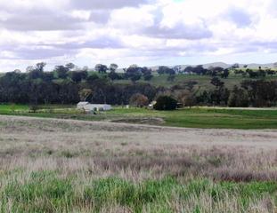 Standard Photo (2010-05-08)