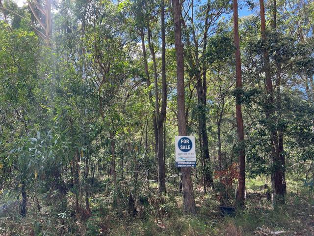 12 Billambang St, QLD 4184