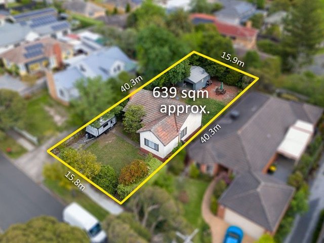 41 Cornfield Grove, VIC 3128