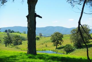 Views over property