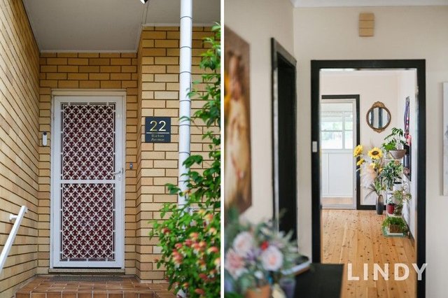 22 Barton Avenue, NSW 2330