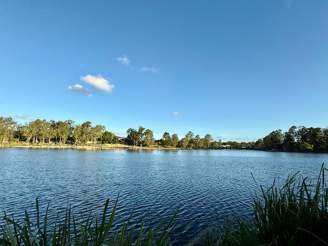 51 Ibis Circuit, QLD 4078