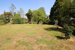 Backyard (2020-01-29)