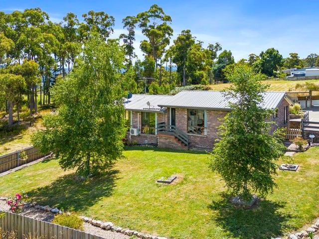 45 Dowlings Road, TAS 7109