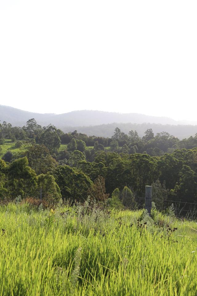 212D Norries Road, NSW 2429