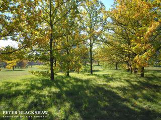 Parkland Surrounding Mountbatten Park (2019-05-23)