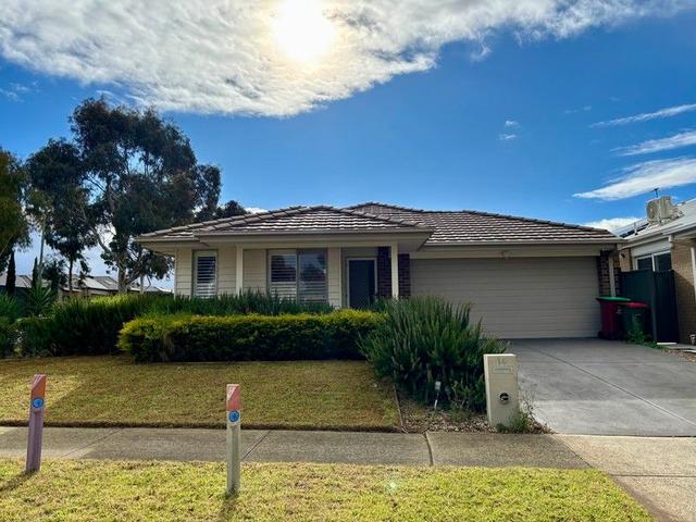 16 Tinnadice Road, VIC 3977