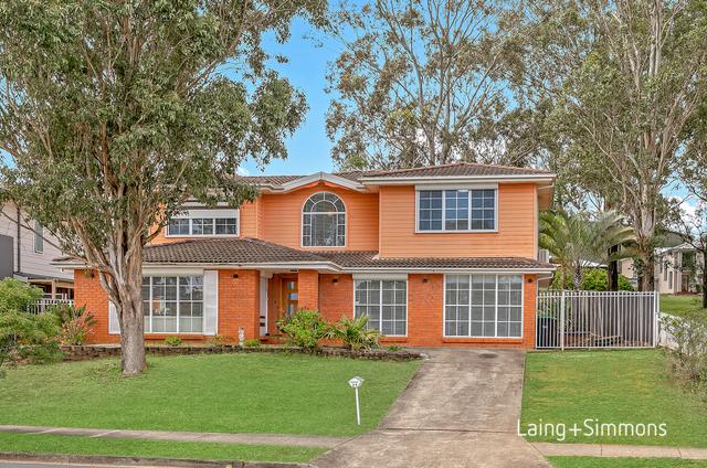 24 Swallow Drive, NSW 2759