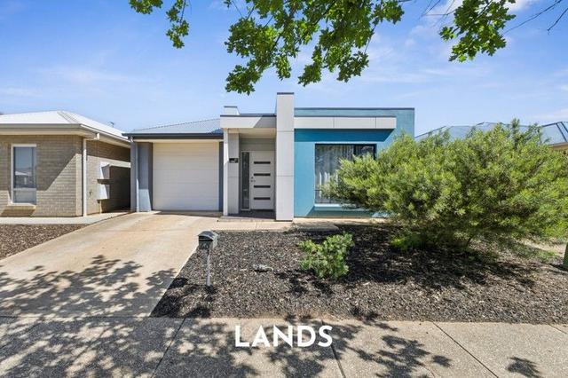 40 Ascot Avenue, SA 5115