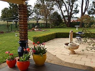 Paved courtyard (2018-11-05)