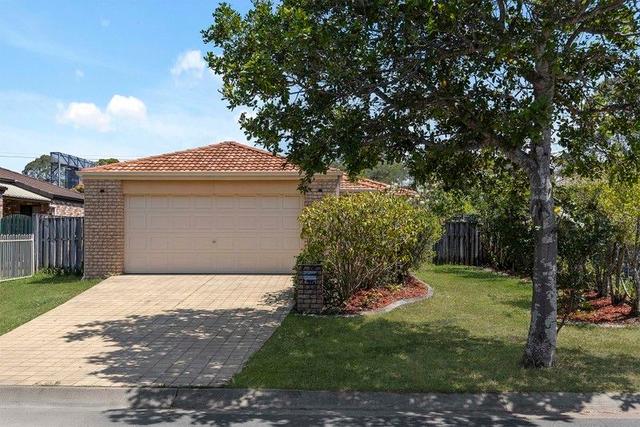 56 Aldea Circuit, QLD 4017