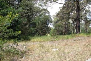 Main Photo (2010-06-07)