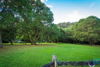 Front Yard (2016-06-15)