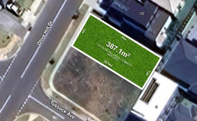 120 Olive Hill Drive, NSW 2570